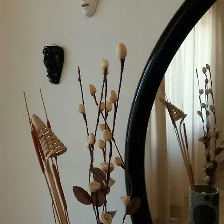 Bynos Baunei